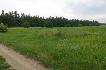 Фото №5: Земельный участок 10 сот. - Старокорсунская, мкр. Карасунский внутригородской округ, ул. Преградная, 28