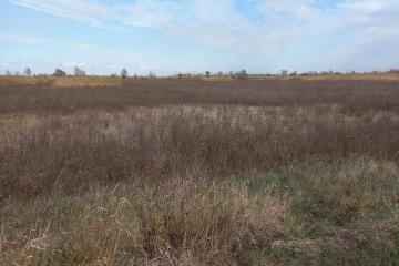 Фото №1: Коммерция 33 м² - Республика Адыгея (Адыгея) Тахтамукайский район