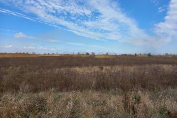 Фото №3: Коммерция 34 м² - Республика Адыгея (Адыгея) Тахтамукайский район