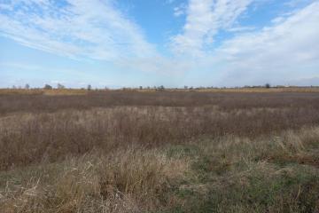 Фото №2: Коммерция 34 м² - Республика Адыгея (Адыгея) Тахтамукайский район