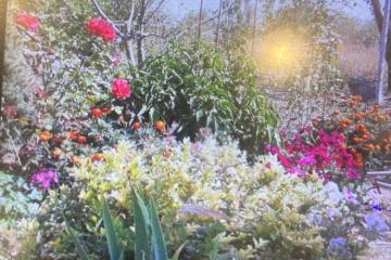 Фото №3: Дом 51 м² - Новодмитриевская, ул. Пушкина, 72