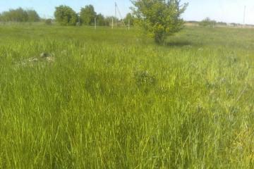 Фото №3: Земельный участок 7 сот. - Новый Сад, 