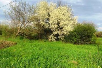 Фото №4: Земельный участок 10.3 сот. - Платнировская, ул. Северная, 2