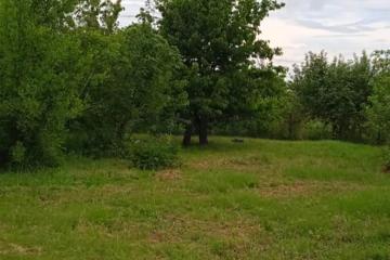 Фото №5: Земельный участок 10.3 сот. - Платнировская, ул. Северная, 2