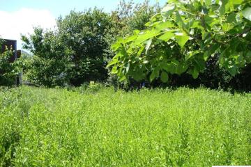 Фото №2: Земельный участок 10.3 сот. - Платнировская, ул. Северная, 2