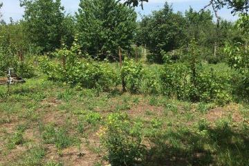 Фото №3: Земельный участок 10.3 сот. - Платнировская, ул. Северная, 2