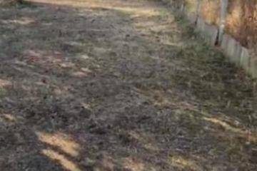 Фото №4: Земельный участок 4 сот. - Краснодар, ст КНИИСХ, ул. Земляничная, 263