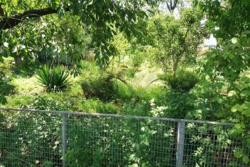 Фото №2: Земельный участок 41.1 сот. - Кубанское Яблоко, мкр. Прикубанский внутригородской округ, ул. Сиреневая