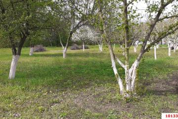 Фото №1: Земельный участок 41.1 сот. - Кубанское Яблоко, мкр. Прикубанский внутригородской округ, ул. Сиреневая