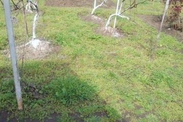 Фото №4: Земельный участок 41.1 сот. - Кубанское Яблоко, мкр. Прикубанский внутригородской округ, ул. Сиреневая