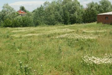 Фото №5: Земельный участок 80 сот. - Смоленская, ул. Бездорожная, 10