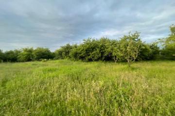 Фото №4: Земельный участок 28.95 сот. - Абадзехская, ул. Набережная, 75