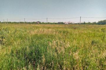 Фото №3: Земельный участок 7.8 сот. - Елизаветинская, мкр. Прикубанский внутригородской округ, ул. Кубанская, 10