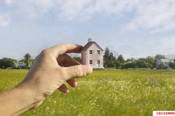 Фото №2: Земельный участок 100 сот. - Новобжегокай, 