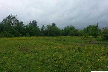 Фото №3: Земельный участок 100 сот. - Новобжегокай, 