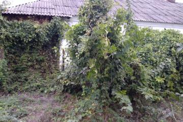 Фото №4: Дом 27 м² - Звезда, ул. Октябрьская, 25