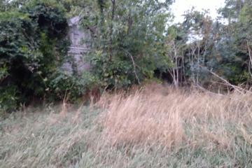 Фото №5: Дом 27 м² - Звезда, ул. Октябрьская, 25