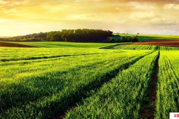 Фото №3: Коммерция 5 м² - Аврора, мкр. Карасунский внутригородской округ, ул. Державная, 54