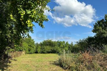 Фото №5: Коммерция 13 м² - Новодмитриевская, ул. Набережная, 30