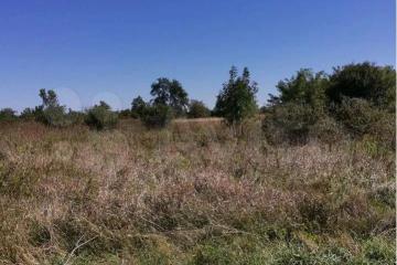 Фото №4: Земельный участок 16 сот. - Октябрьский, мкр. Прикубанский внутригородской округ, ул. Извилистая, 38