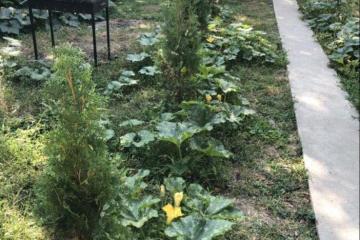 Фото №5: Земельный участок 2.5 сот. - Краснодар, мкр. Центральный, ул. Гоголя, 120