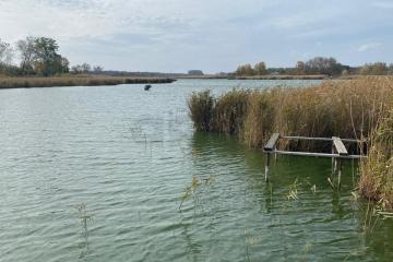 Фото №3: Земельный участок 11.41 сот. - Великовечное, мкр. Гидростроителей, ул. Первомайская, 53