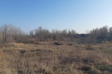 Фото №2: Коммерция 665 м² - Краснодарский край Северский район