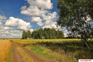 Фото №4: Коммерция 33 м² - Григорьевская, мкр. Прикубанский внутригородской округ, ул. Морская, 1