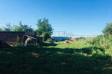 Фото №4: Земельный участок 38 сот. - Братковское, ул. Южная, 107