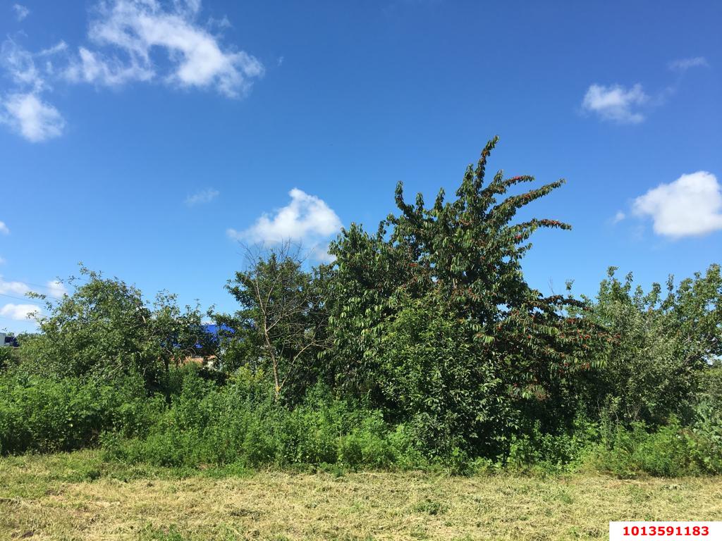 Фото №1: Земельный участок 38 сот. - Братковское, ул. Южная, 107