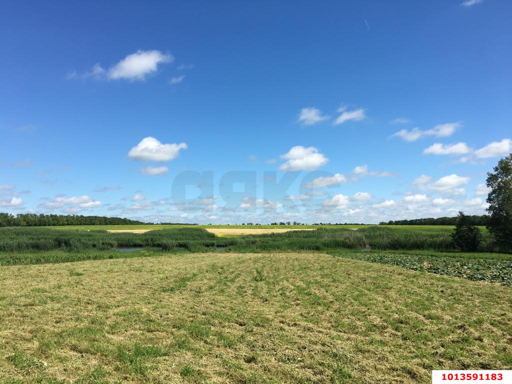 Фото №3: Земельный участок 38 сот. - Братковское, ул. Южная, 107