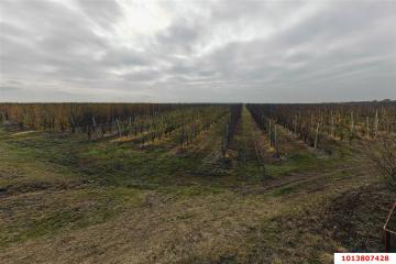 Фото №3: Коммерция 1614 м² - Республика Адыгея (Адыгея) Теучежский район