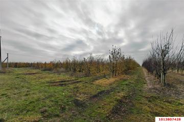 Фото №1: Коммерция 1614 м² - Республика Адыгея (Адыгея) Теучежский район