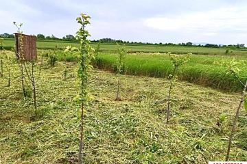 Фото №2: Коммерция 67 м² - Пролетарий, мкр. Центральный, ул. Юбилейная, 16