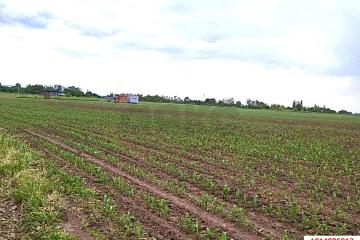 Фото №4: Коммерция 67 м² - Пролетарий, мкр. Центральный, ул. Юбилейная, 16