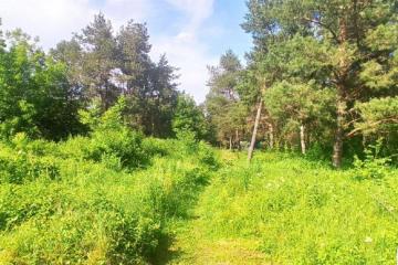 Фото №3: Земельный участок 1483.85 сот. - Средний Дукмасов, ул. Луговая, 7