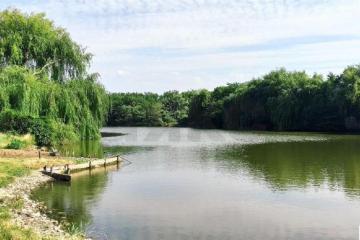 Фото №2: Земельный участок 1483.85 сот. - Средний Дукмасов, ул. Луговая, 7