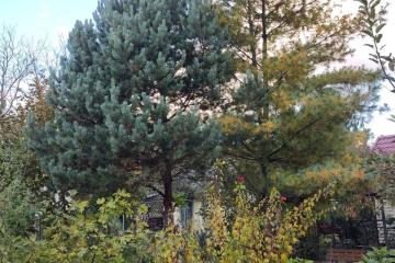 Фото №4: Дом 60 м² - Полковничий, мкр. СТ Горянка, 10