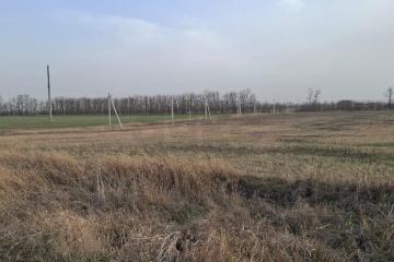 Фото №2: Земельный участок 10.58 сот. - Ленинградская, ул. 70 лет Победы, 69