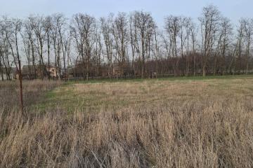 Фото №5: Земельный участок 10.58 сот. - Ленинградская, ул. 70 лет Победы, 69