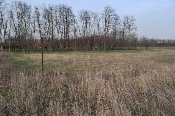 Фото №4: Земельный участок 10.58 сот. - Ленинградская, ул. 70 лет Победы, 69