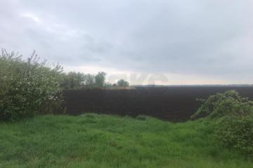 Фото №1: Дом 43 м² - Пролетарский, ул. Кирпичная, 21