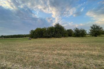 Фото №4: Земельный участок 7.99 сот. - садовое некоммерческое товарищество Авиатор, мкр. Прикубанский внутригородской округ, ул. Приканальная