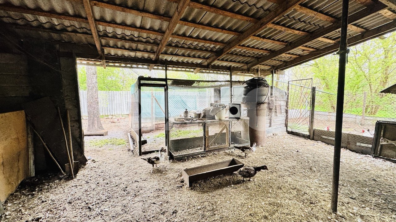 Фото №19: Дуплекс 120 м² + 12 сот. - Свободный, ул. Горького, 1А