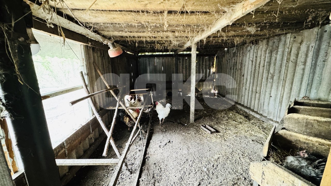 Фото №21: Дуплекс 120 м² + 12 сот. - Свободный, ул. Горького, 1А