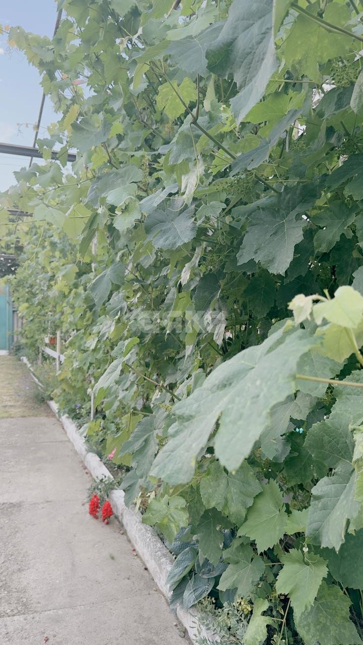 Фото №24: Дуплекс 120 м² + 12 сот. - Свободный, ул. Горького, 1А