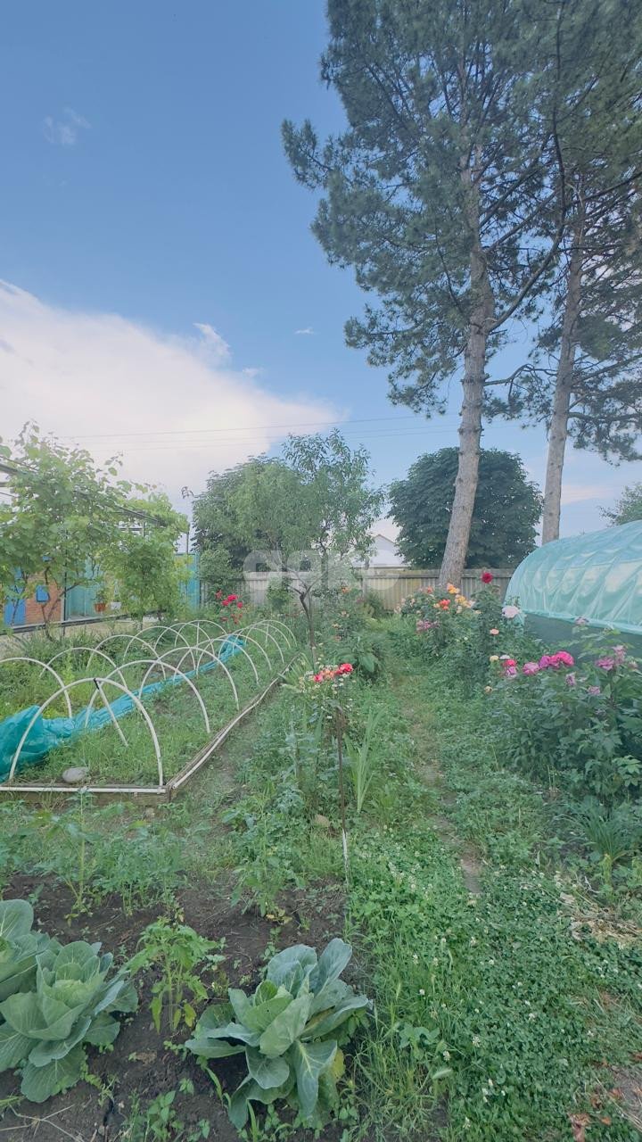 Фото №22: Дуплекс 120 м² + 12 сот. - Свободный, ул. Горького, 1А