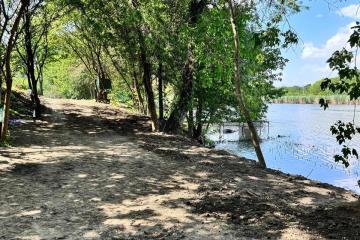 Фото №3: Земельный участок 30 сот. - Казачий, ул. Магистральная, 122