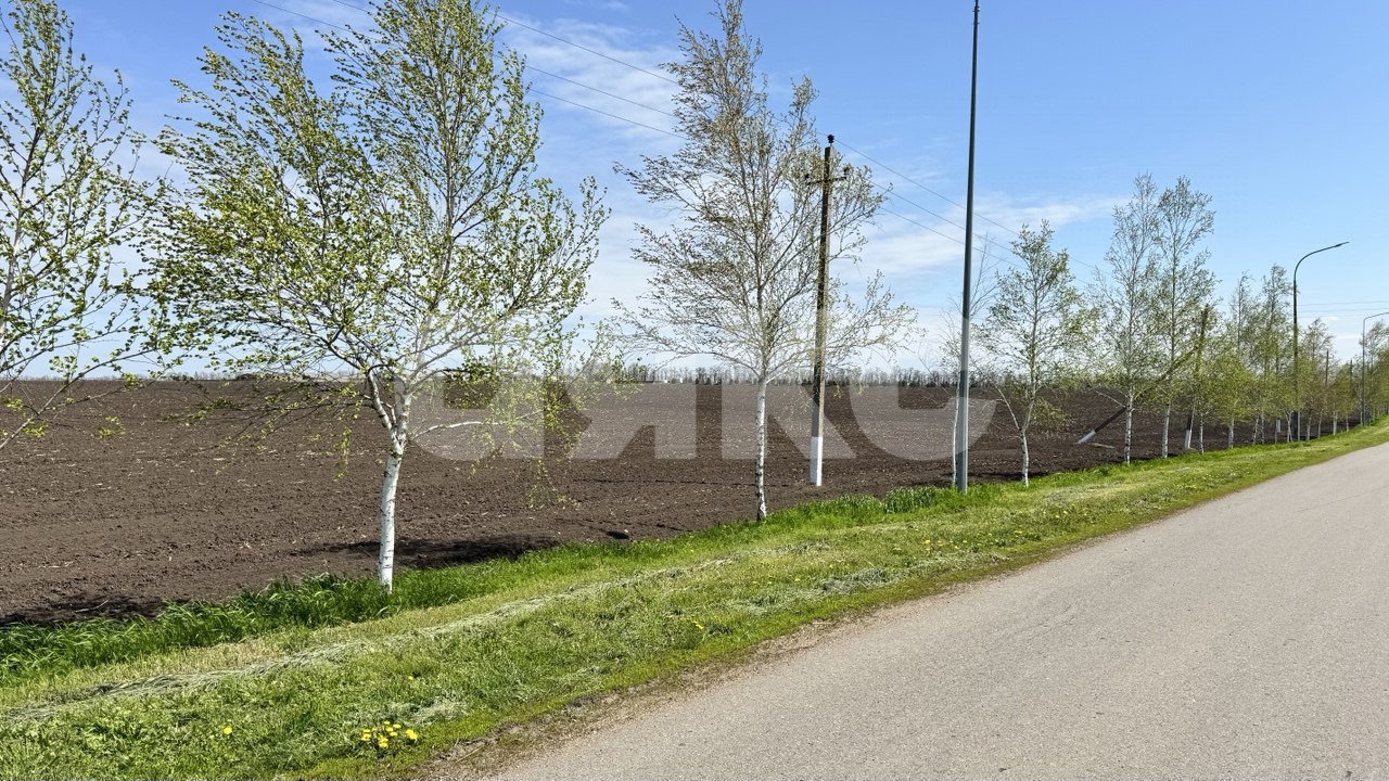 Фото №6: Личное подсобное хозяйство 30 сот. - Братковское, ул. Степная, 46