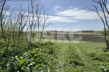 Фото №2: Личное подсобное хозяйство - Братковское, ул. Степная, 46